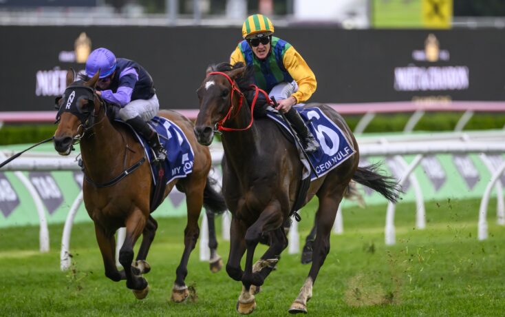 了新的活力 了新的活力