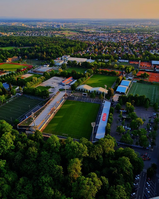 的进攻火力 的进攻火力